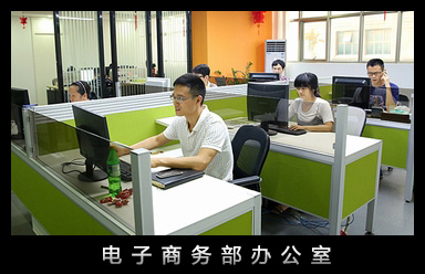 電(diàn)子(zǐ)商務部辦公室